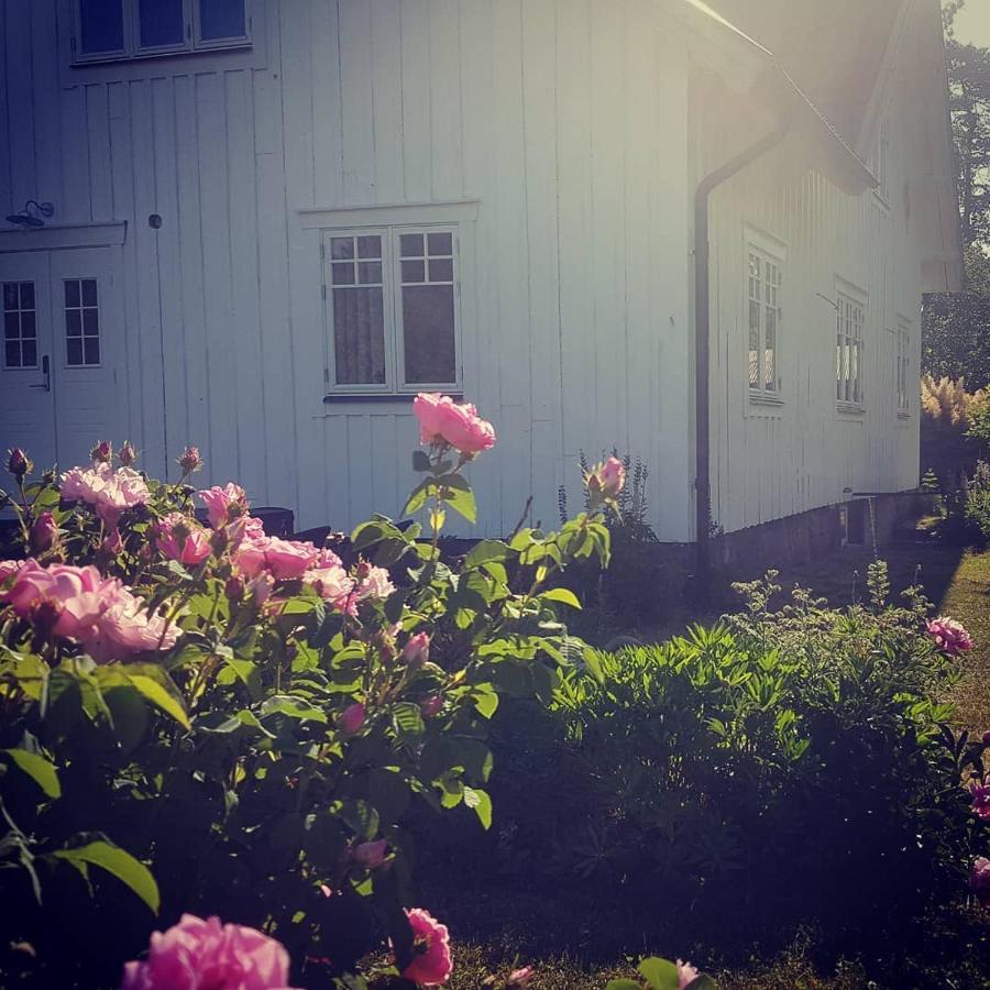 Krogsereds B&B Extérieur photo